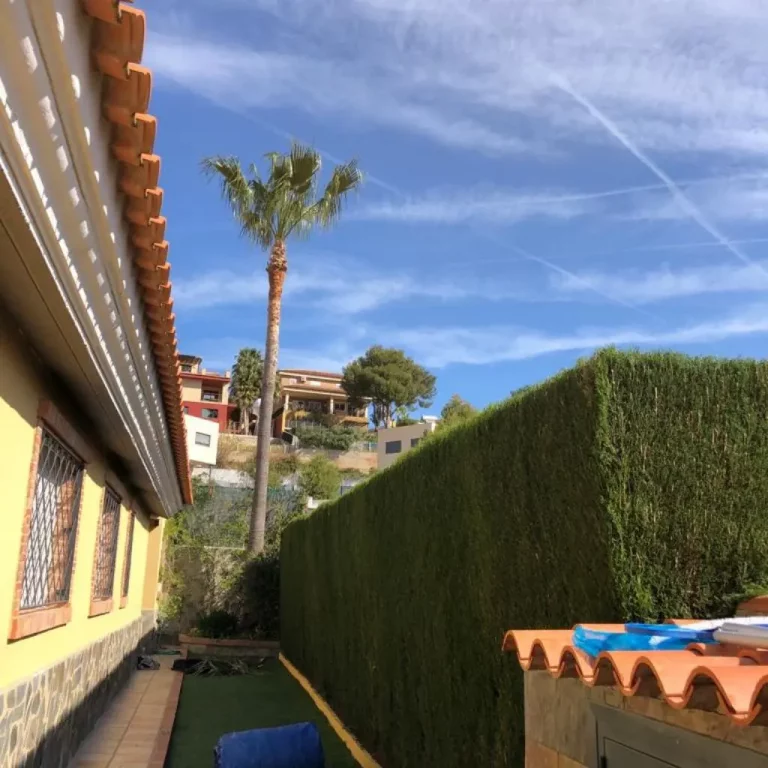 poda-de-setos-en-alginet,-los-lagos,-picassent-y-la-eliana-1