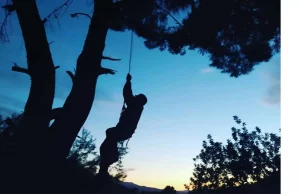 PODADOR DE PINOS EN TORRENT, PODA Y TALA