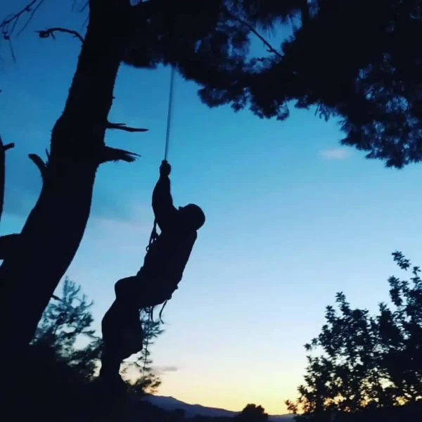 PODA Y TALA JARDINERÍA VALPARAÍSO EN L'ELIANA