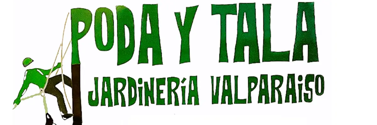 Podador de Altura en Sueca 1 En este momento estás viendo Podador de Altura en Sueca