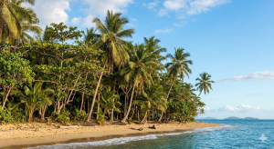 PODA Y TALA JARDINERÍA VALPARAÍSO EN L'ELIANA